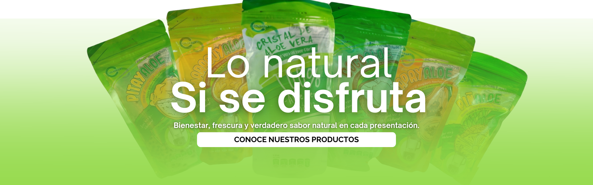 Banner Horizontal Seguro De Hogar Cotización Gradiente Naranja (1200 X 600 Px) (1920 X 600 Px) (1)