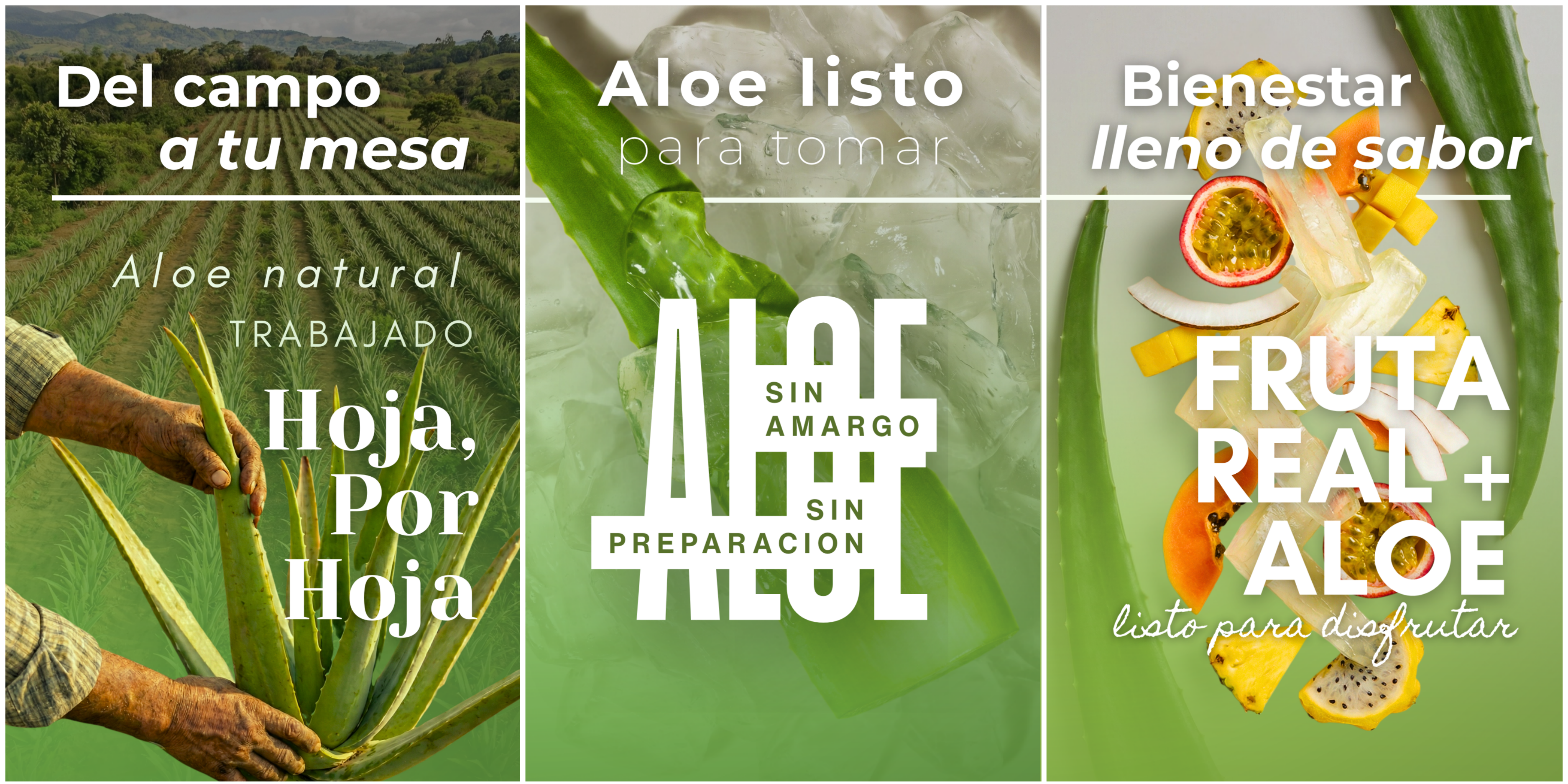 Diseño Sin Título (4)